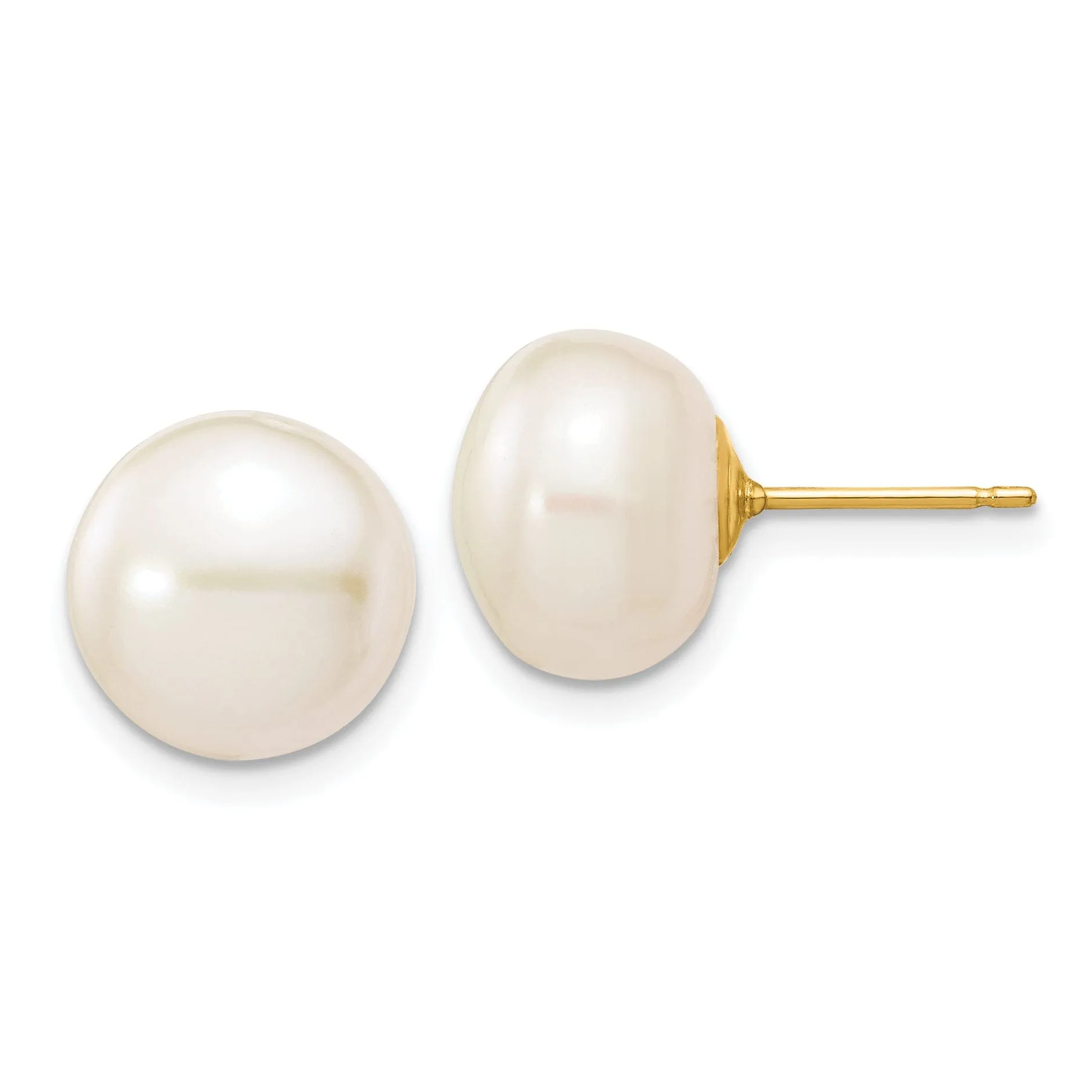 14k Yellow Gold White Button Pearl Earrings