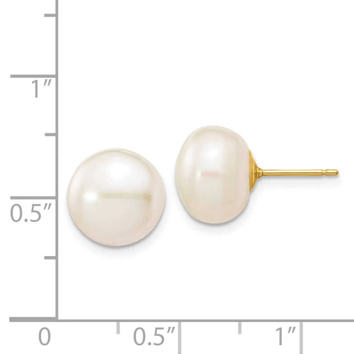 14k Yellow Gold White Button Pearl Earrings