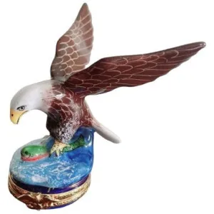 American Bald Eagle Bird