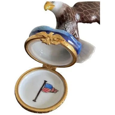 American Bald Eagle Bird
