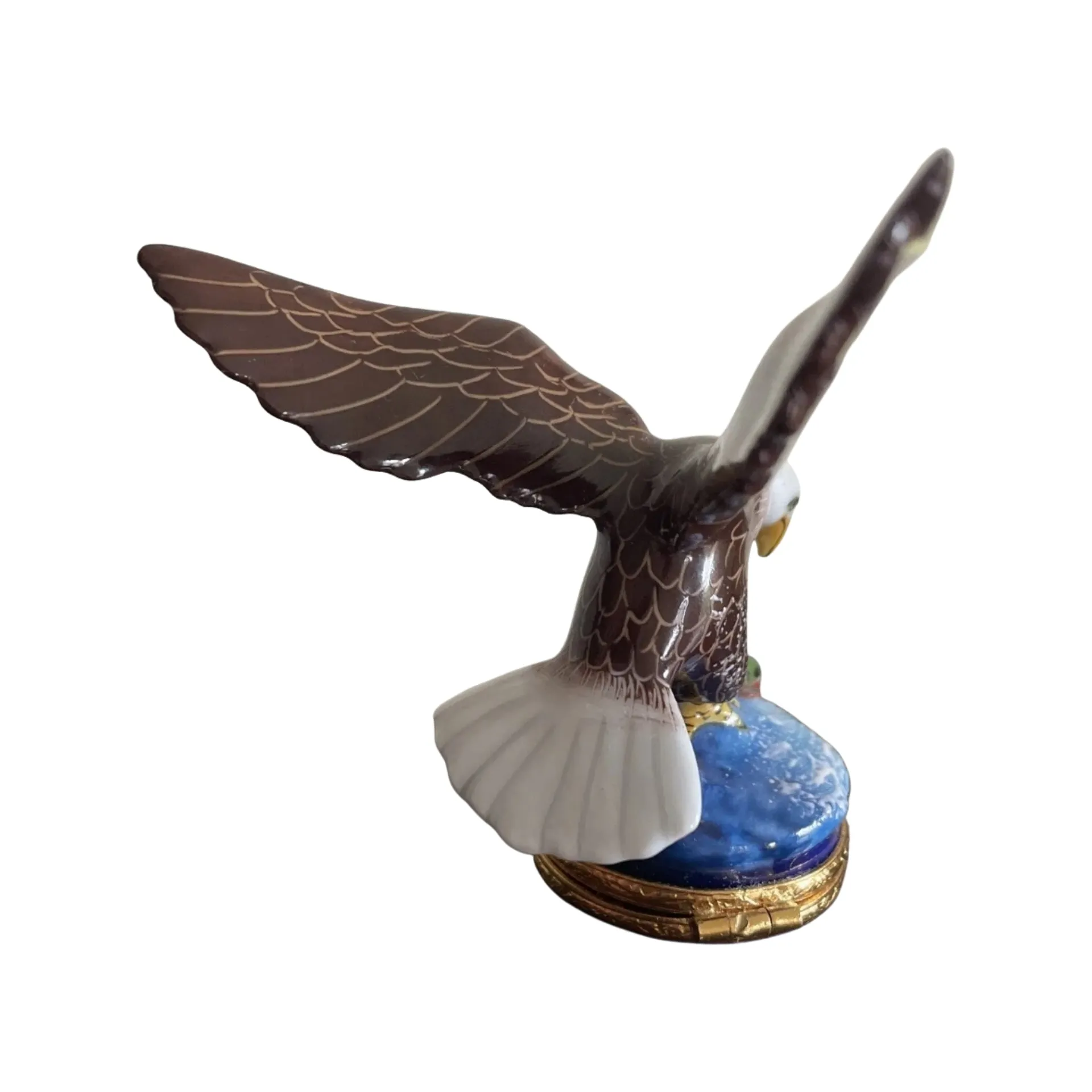 American Bald Eagle Bird