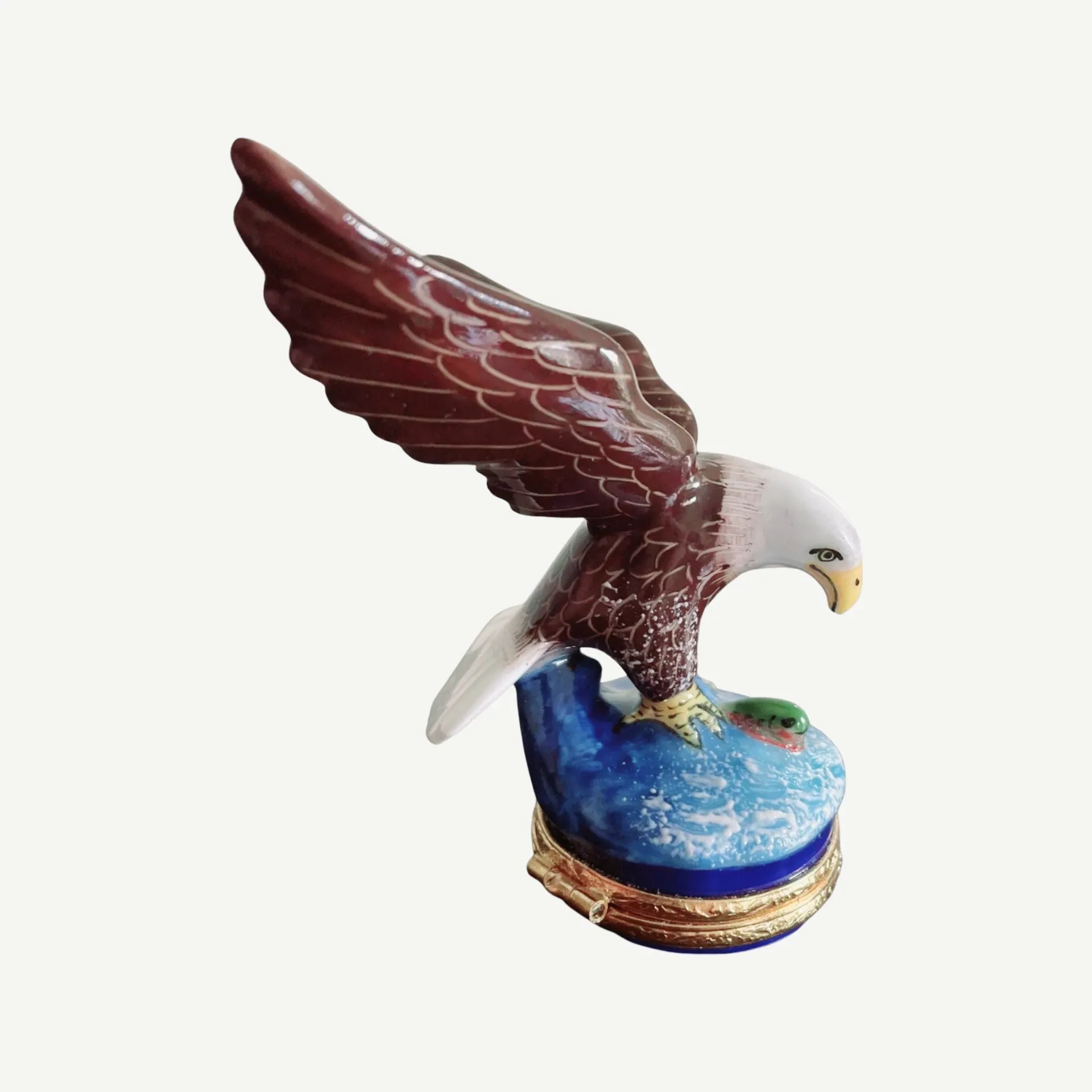 American Bald Eagle Bird