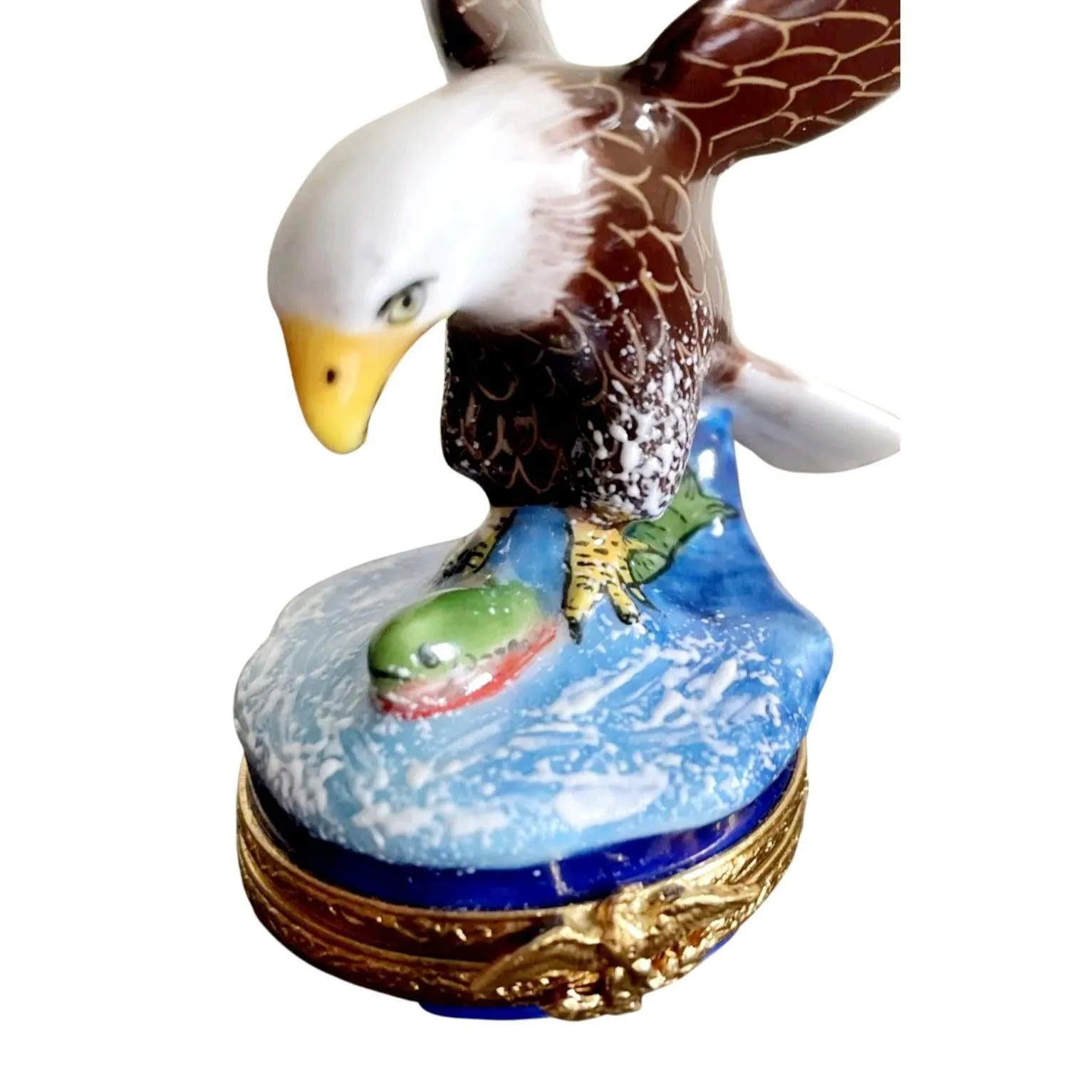 American Bald Eagle Bird