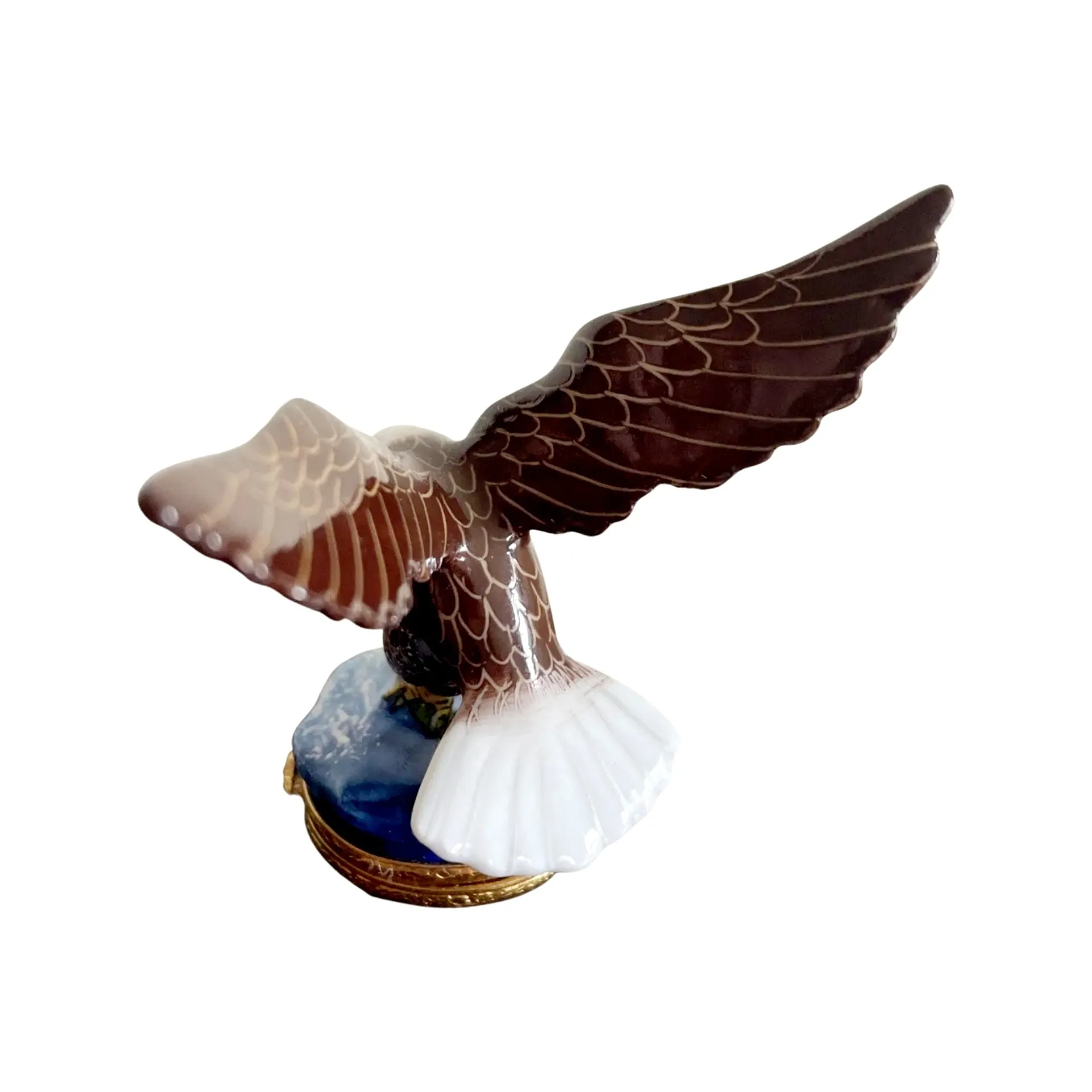 American Bald Eagle Bird