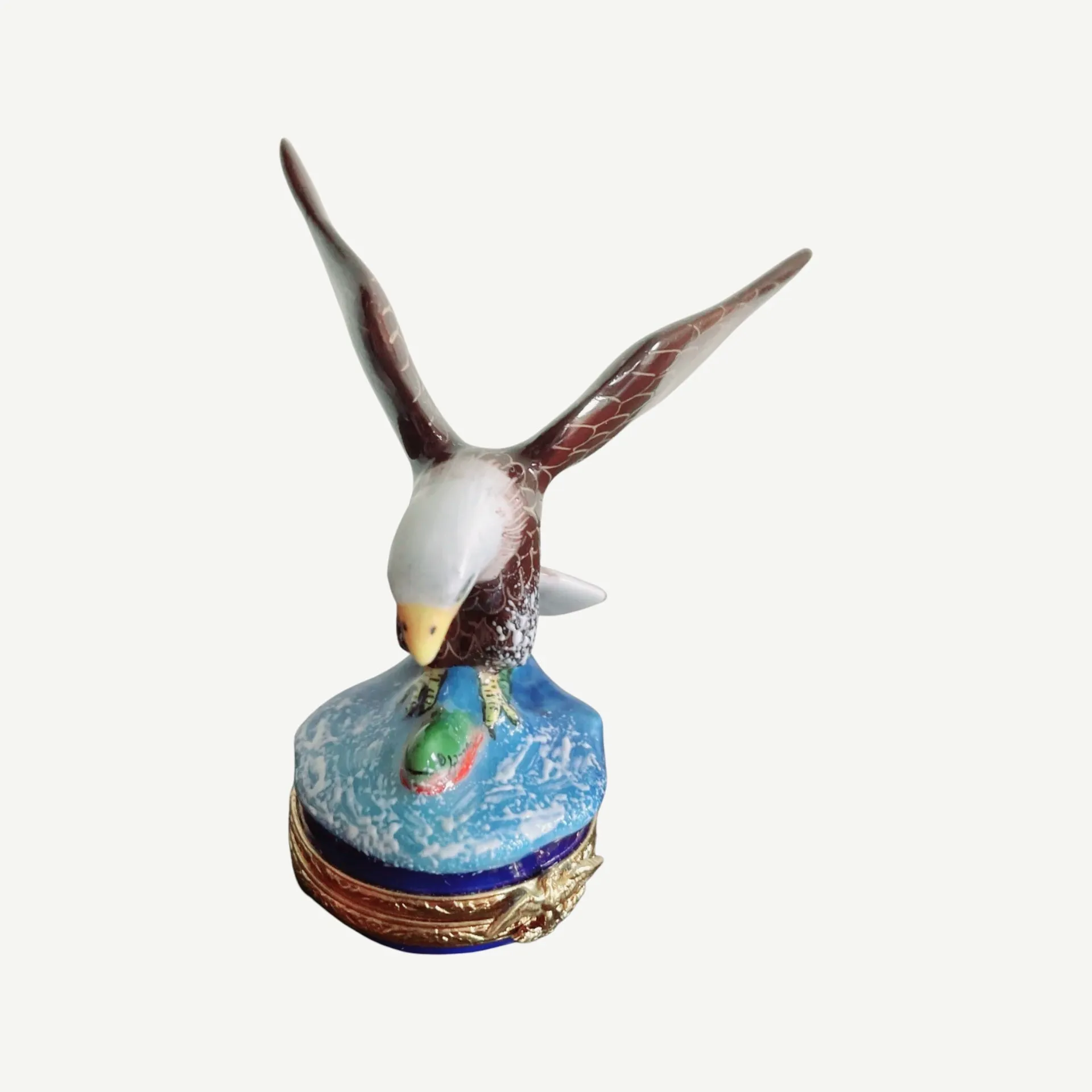 American Bald Eagle Bird