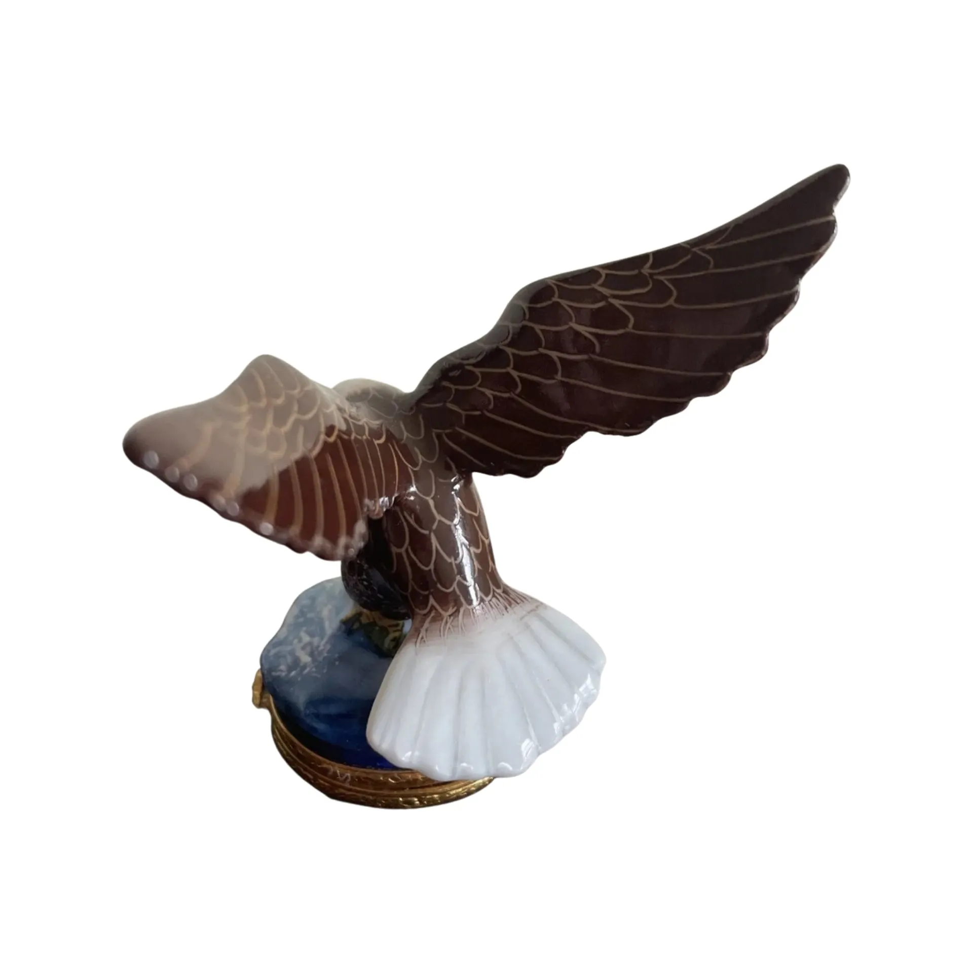American Bald Eagle Bird