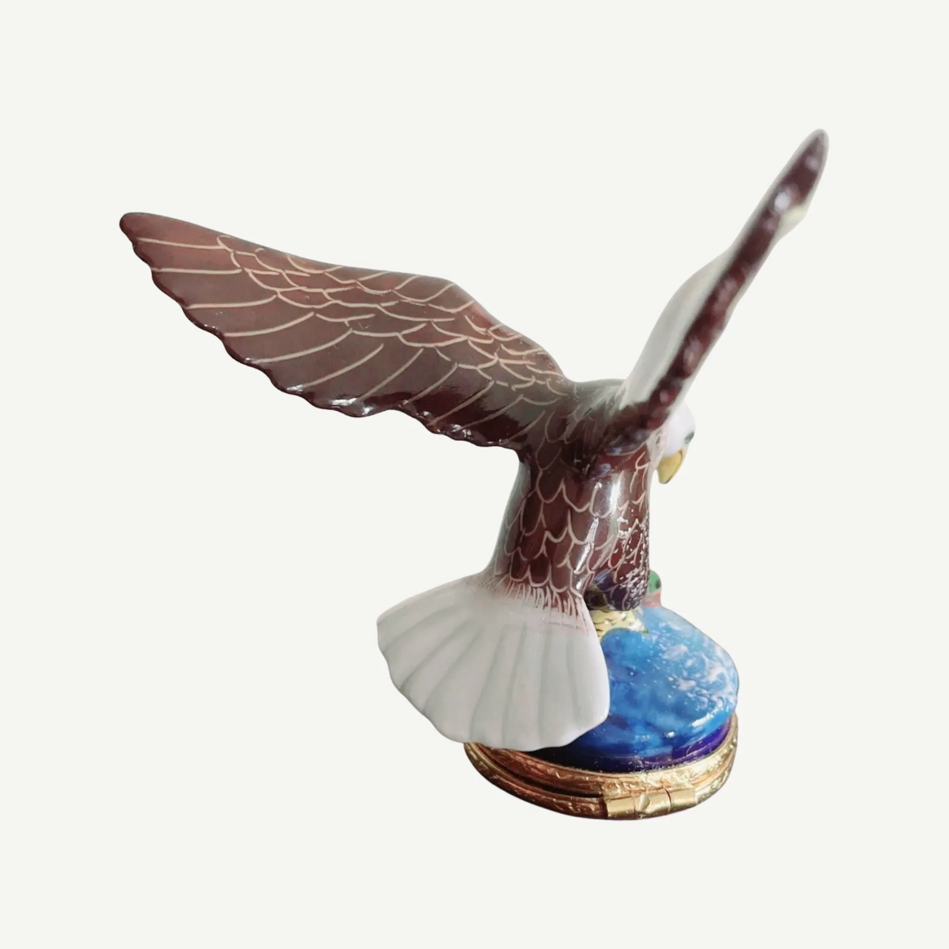American Bald Eagle Bird