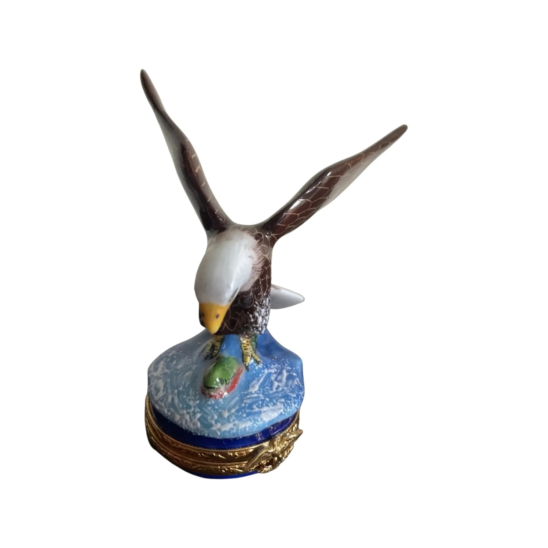 American Bald Eagle Bird