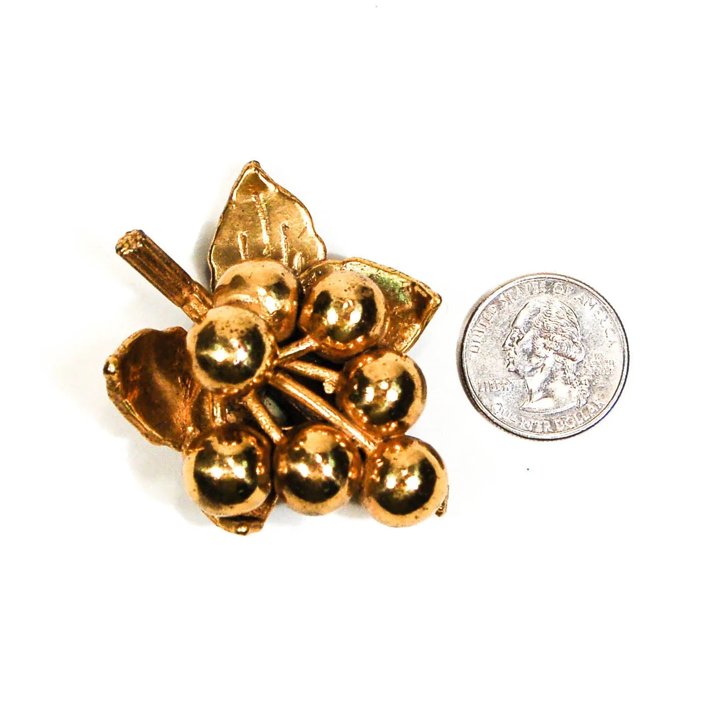 Berry Cluster, Gold Dress Clip Fur Clip