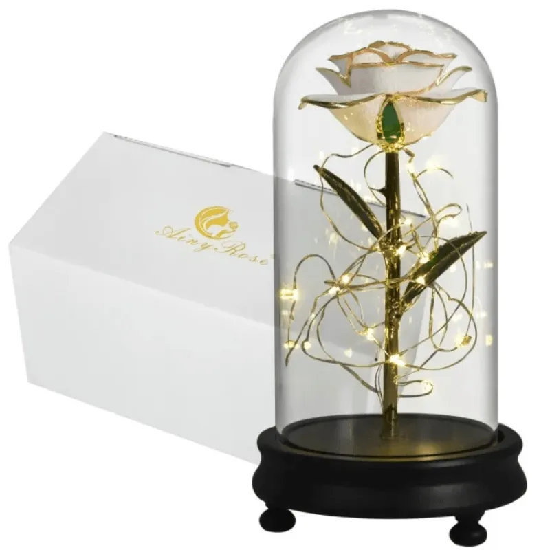 Gold Dipped Rose Dome – The Timeless Gift of Elegance