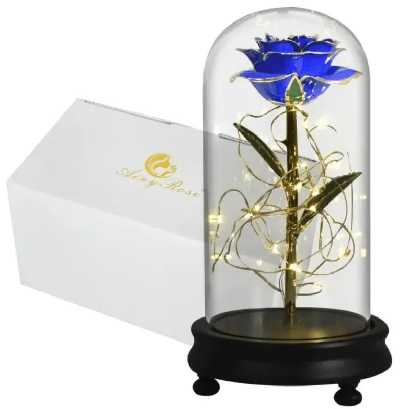 Gold Dipped Rose Dome – The Timeless Gift of Elegance