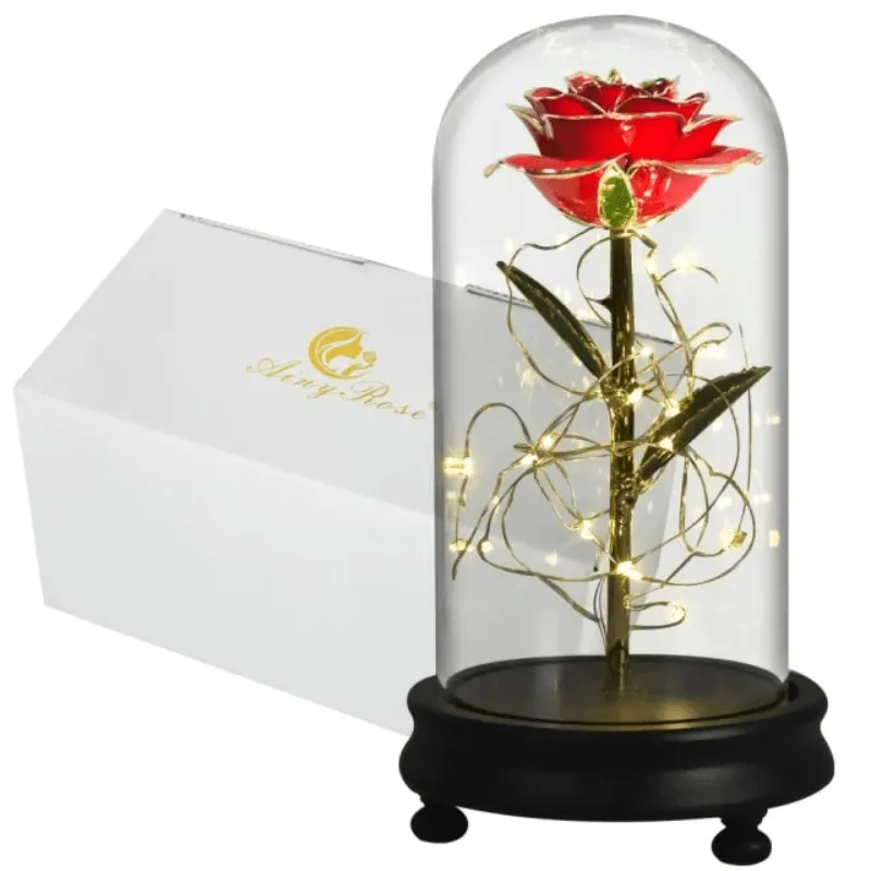 Gold Dipped Rose Dome – The Timeless Gift of Elegance