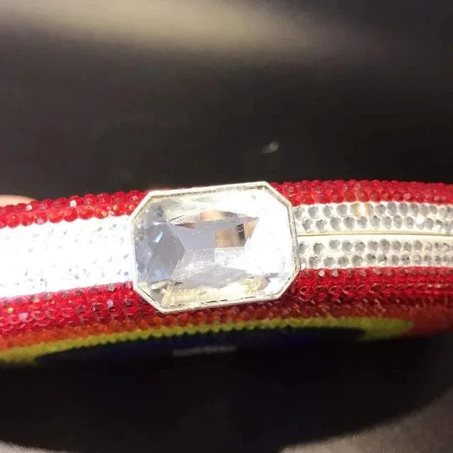 Rainbow Delight Clutch