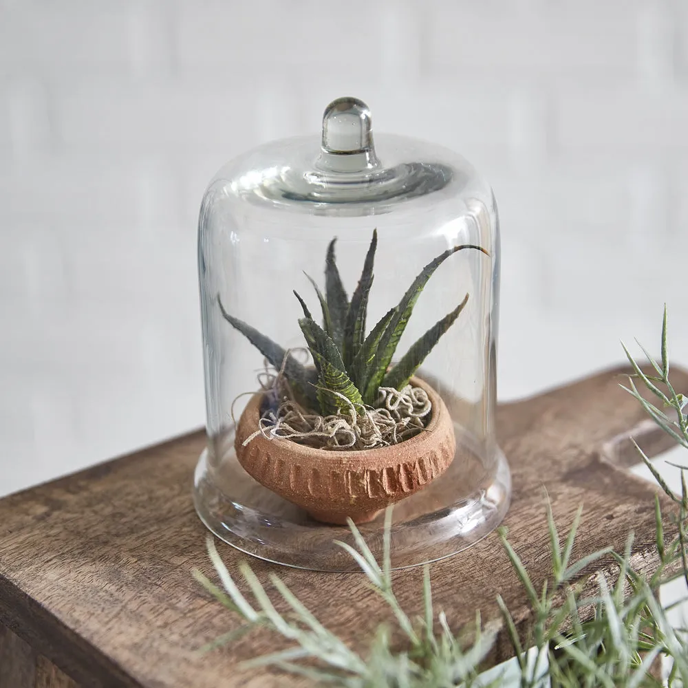 Set of 4 Cute Little Glass Bell Cloches