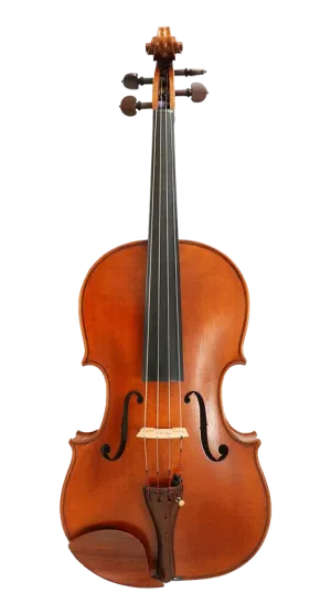 Verdi Viola 15.5"