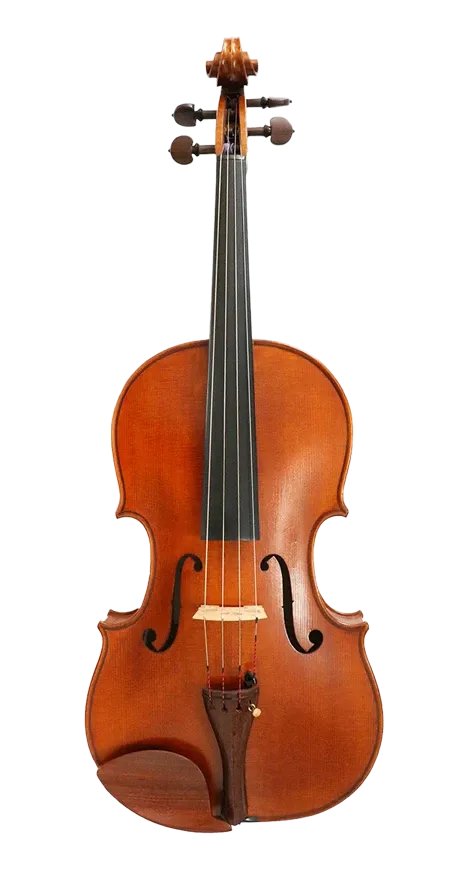 Verdi Viola 15.5"